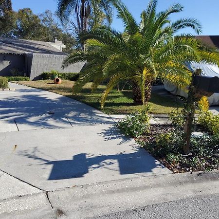 Beautiful Apartment Close To Everything Tampa Exterior foto