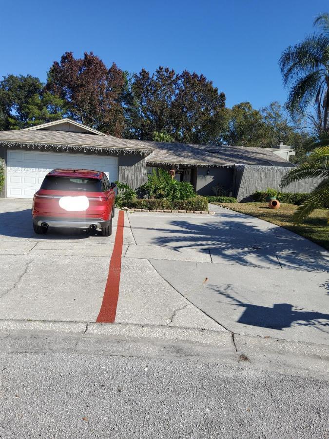 Beautiful Apartment Close To Everything Tampa Exterior foto
