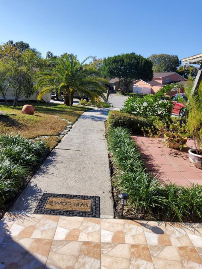 Beautiful Apartment Close To Everything Tampa Exterior foto